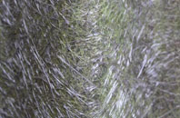 Little Salisbury fibreglass roof work